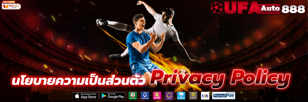 นโยบายความเป็นส่วนตัว